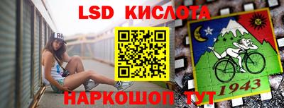 сатива Краснодар