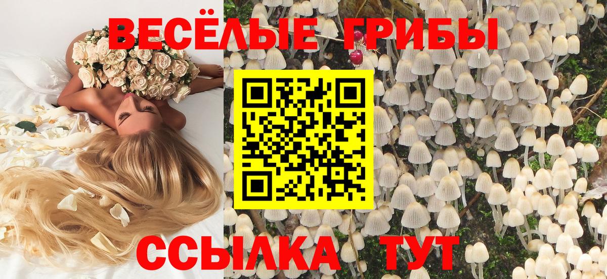 Псилоцибиновые грибы Magic Shrooms Кирово-Чепецк