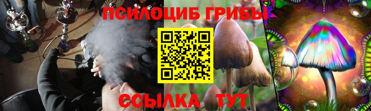 Кирово-Чепецк  Псилоцибиновые грибы мицелий  Вход с VPN  Псилоцибиновые грибы мухоморы 